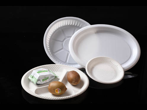 pp食品吸塑餐盤